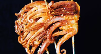 Carnivore Union