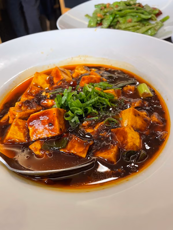 Sichuan Haozi
