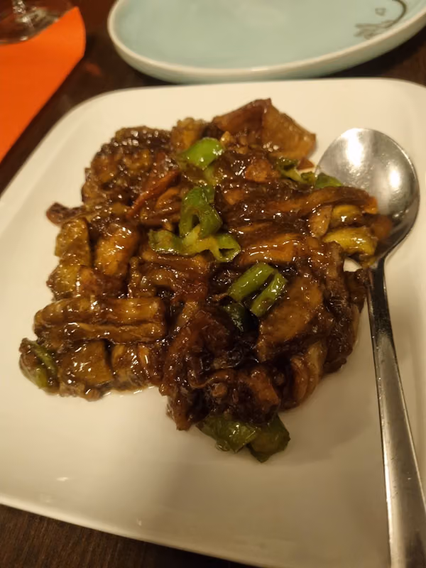 Sinosteria