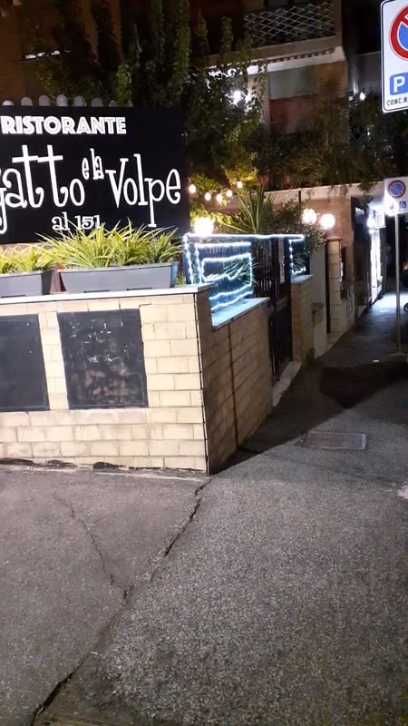 Il gatto e la volpe
