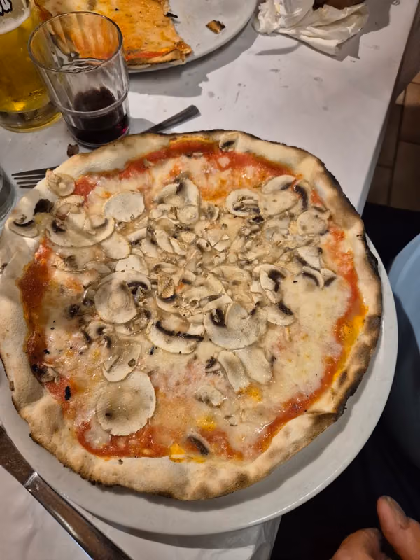 Gallo Rosso