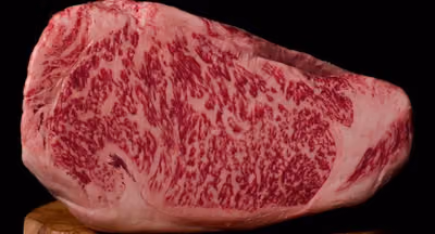 El Gaucho Argentino