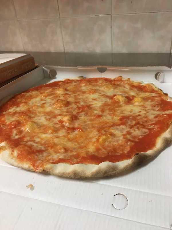 Pizzologia