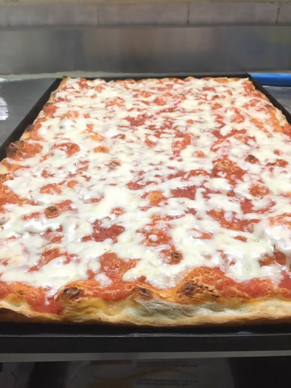 Pizzologia