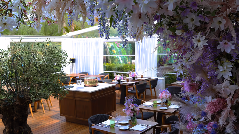 La Crystal Room, veranda in legno con ulivi e fiori