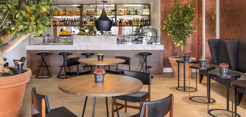 Il bancone del bar con alberi di limone e tavolini