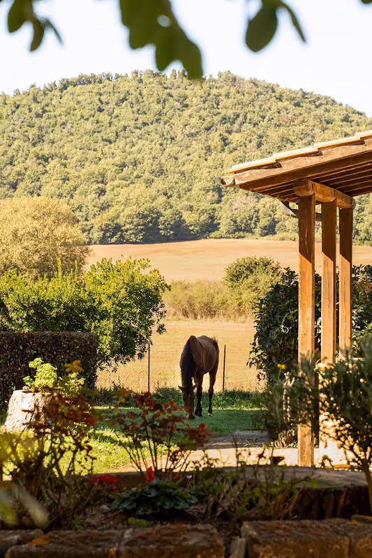Agriturismo Monte La Puglia