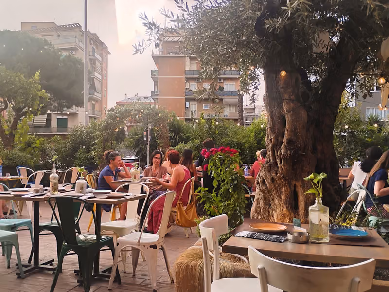 Il giardino con l'ulivo
