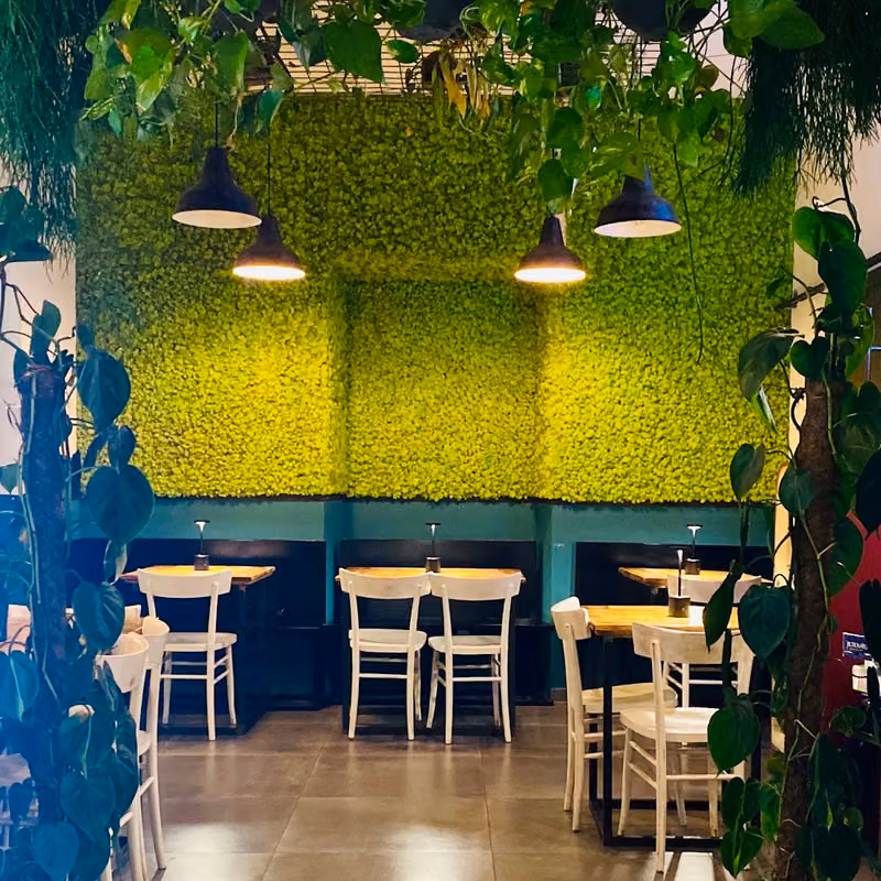 La sala con la parete verde