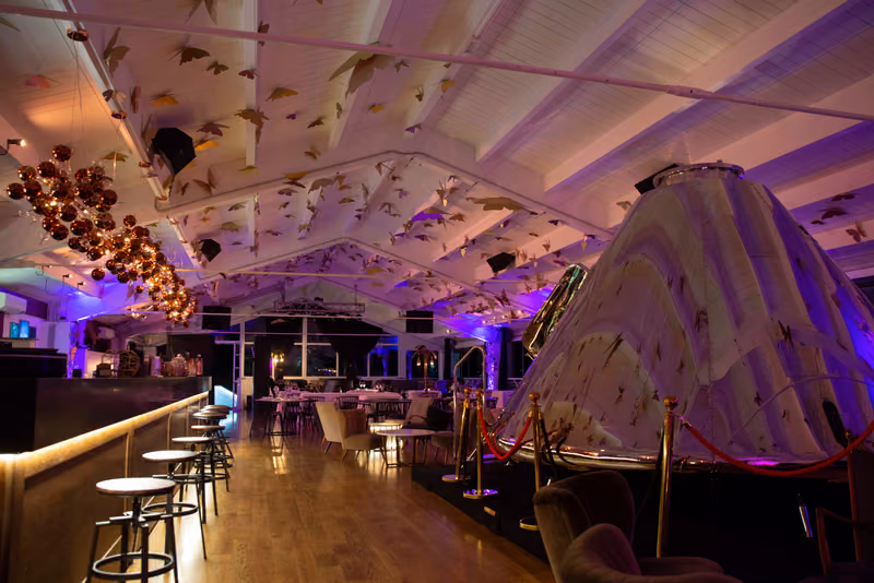 Sala con luci viola, bancone e soffitto decorato